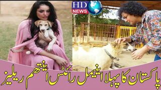پاکستان کا پہلا اینیمل رائٹس اینتھم ریلیز