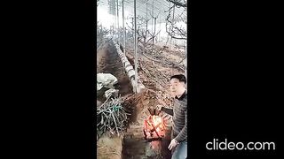 ОТОПЛЕНИЕ НА ОРАНЖЕРИЯ ПО КИТАЙСКИ