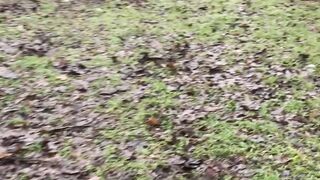 STALKER в реале - телепат