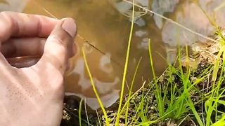 How to Easily Pull Eels Out of Their Holes