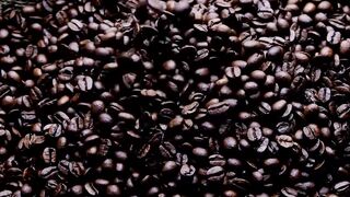 کافی کے بیج