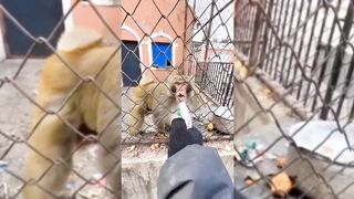 Вспомним Всё! _ Подборка самых смешных видео из интернета. Всё лучшее в одном ме.