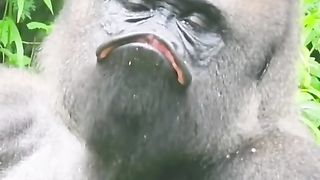 kiss Me Baby