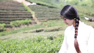 charming music - see you again
