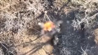Ukrainian drone strikes wipe out hidden Russian soldiers