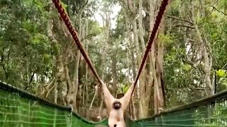 What will happen if monkey come