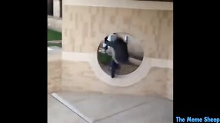 The Best Funny Video In Internet