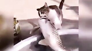 Funniest Animals 2022 ???? Funniest Cats and Dogs ????????  Pets Family