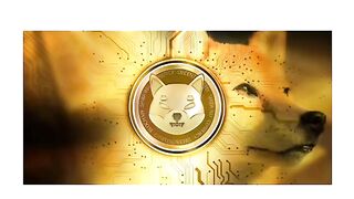 Shibainu SHIBARIUM Christmas suprise