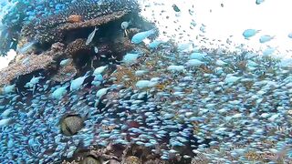 Beautiful underwater scenery