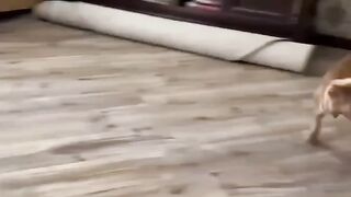 E por aí, já estão empolgados com nossa seleção? ????????????????????????????????❤️???????? .