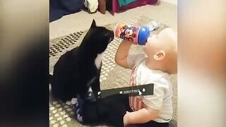 Cute cats funney video with Cute Babeys 2023