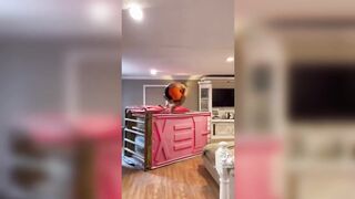 Funny TikToks that make my Sunday better