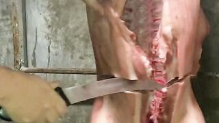 Breaking down a whole pig and explaining the different cuts