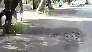 video viral