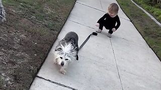 Catch Me If You Can