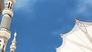 pitifully I looked up at the sky