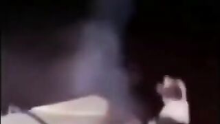 CACHORROS ENGRAÇADOS E FOF