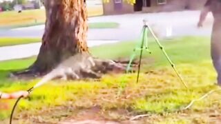 Try not to laugh funny kid. #Memes #Funny #Shorts #Fyp #viral #For you