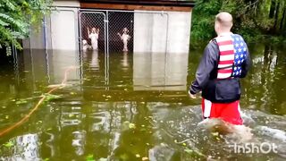 best video of humans helping animals
