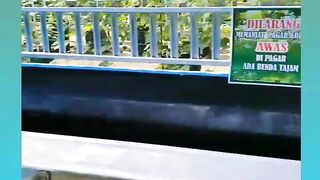 Wisata Anggur Bireun