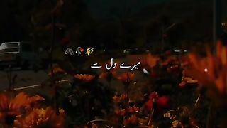 Pochu na mery Dil sy song beautiful song ever