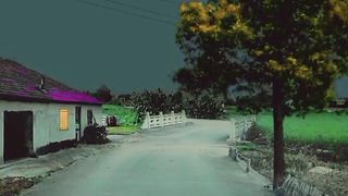 "Night Symphony: The Sounds of Creatures and Gentle Breezes in the Middle of the Road"