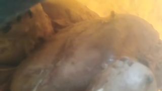 Matangkan dulu lalu simpan di freezer, begini cara kita mengawetkan pakan alternatif