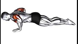 Fitness and workout at home