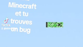 Minecraft 37