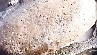 Simple cooking