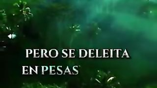 PROVERBIOS 11, 12 Y 13