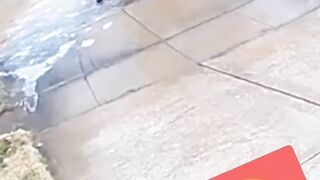 Funny moments captured