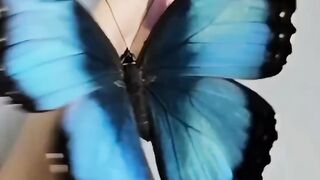 the beauty of life