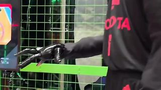 The humanoid robot that never misses a shot on the court!@Toyota#basketball #robot #japan.