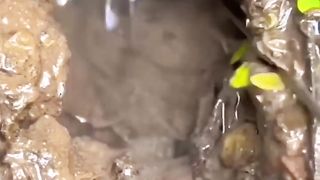Trik mancing belut pakai tusuk gigi #beranda #belut #mancingbelut