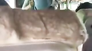 Siblings_fun????_Part-68????_Wait_for_Twist_#