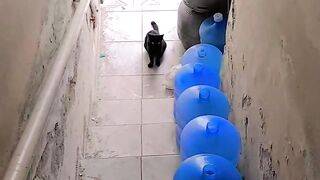 Gatinho 2