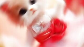 Le chat ????
