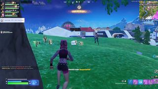 Heat_Round 1 shot for headshot in fornite