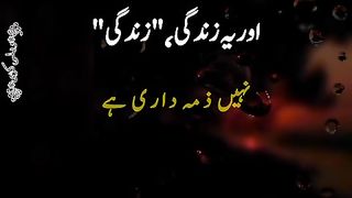 Zindagi zimedari