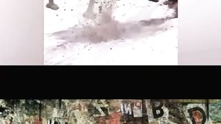 Ridiculous Incident vol 241