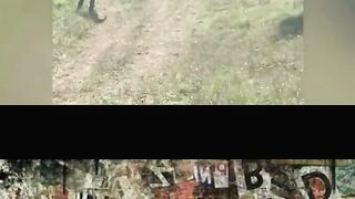 Ridiculous Incident vol 244