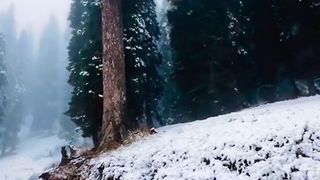 Weather and Snowfall View