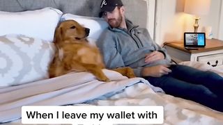 My dog stole my credit card!!