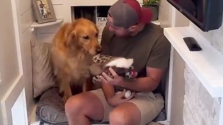 My dog sold my truck! #dog #goldenretriever