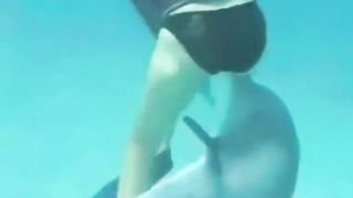 Swimming with dolphin