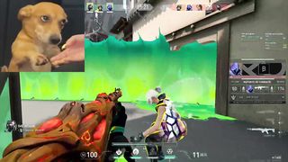 great teammate in valorant