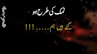 Namak ki tarha