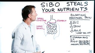 Small Intestinal Bacterial Overgrowth(SIBO) Steals Your Nutrients – Dr.Berg